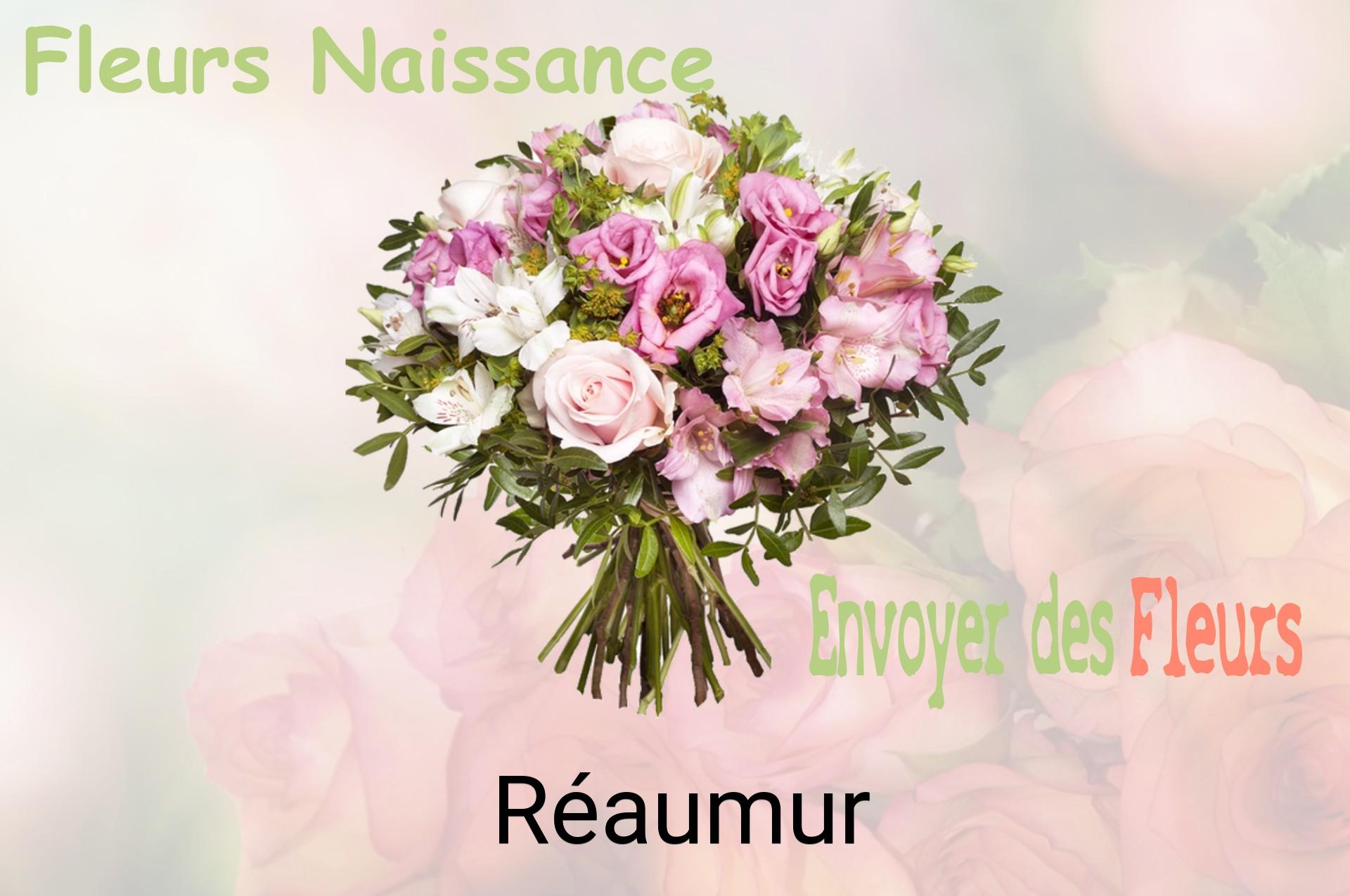 Bouquet de fleurs de naissance livré à Réaumur
