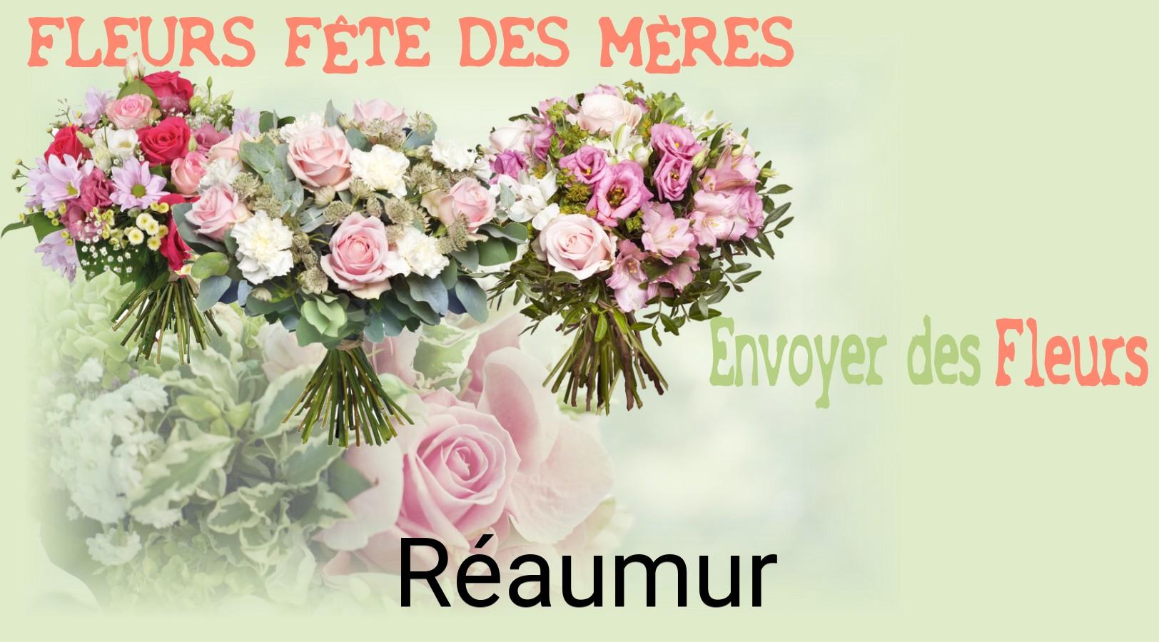 Bouquet de Fête des Mères livré à Réaumur
